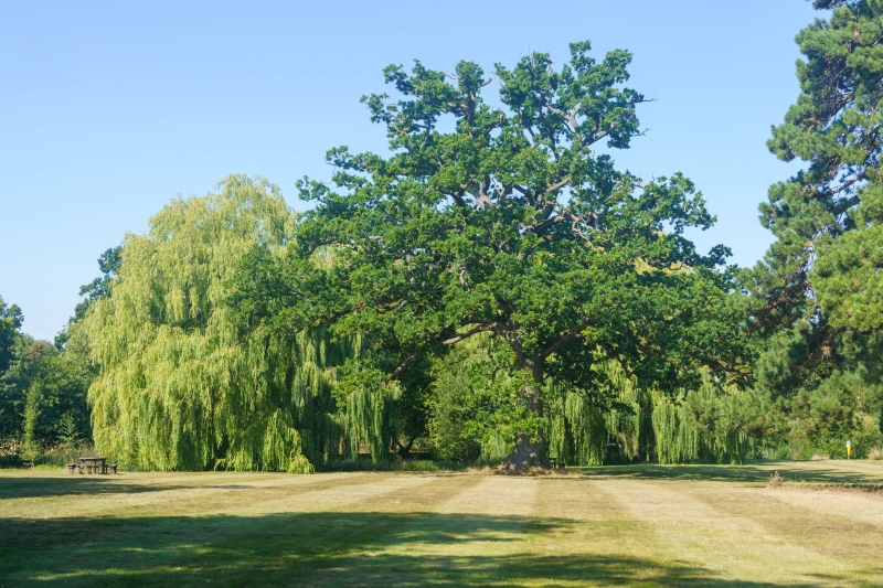Wellcome Genome Campus